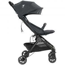 Дитяча прогулянкова коляска Joie Pact flex LFC Black Liverbird